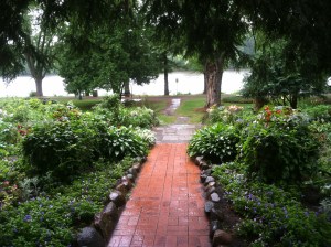 Nature's Quiet Beauty