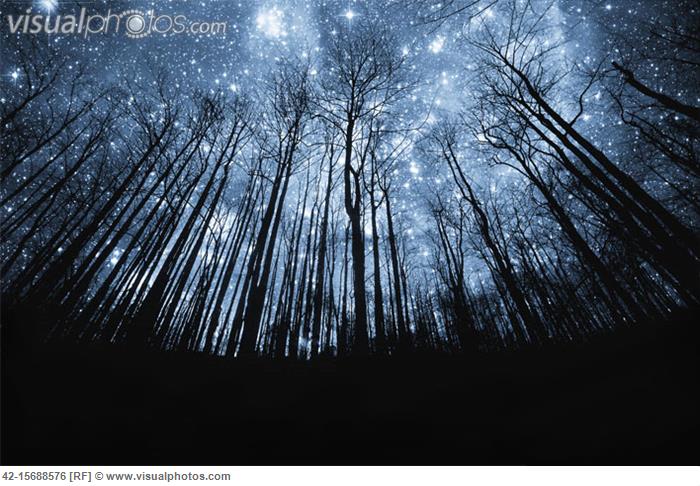 ????????????????????????????????????????