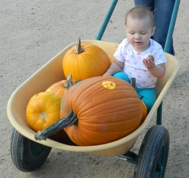 Zoey - Pumpkin patch 2014-3