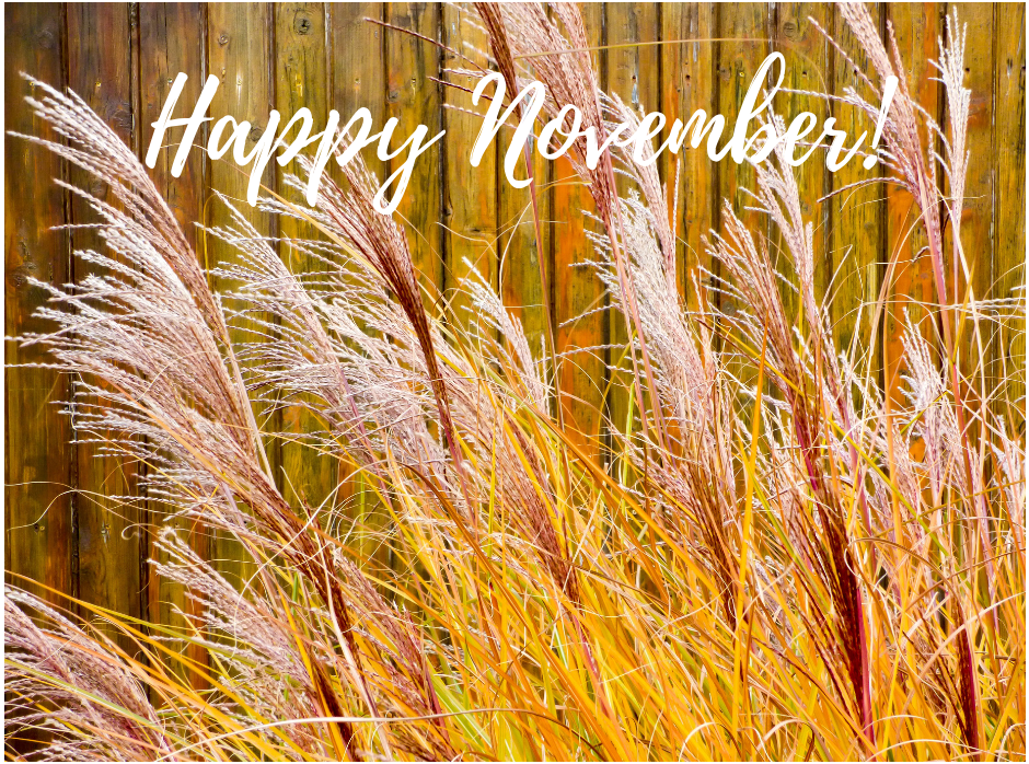 Happy November!